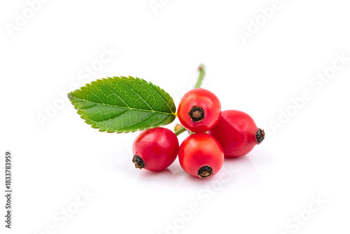 rose hip berry with leaves isolated on white background