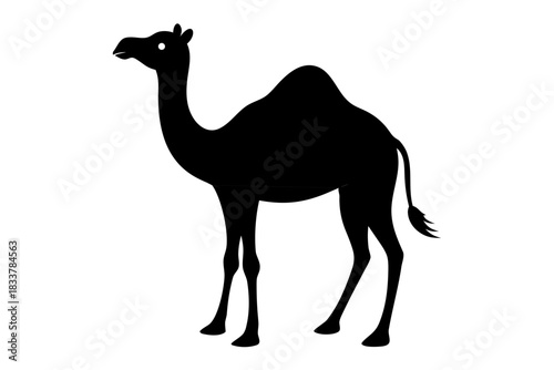 camel silhouette vector, dromedary camel black symbol
