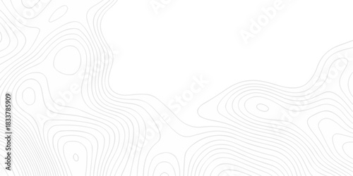 Abstract minimal The pattern discovery vector topo map creative discovery White wave grid stripe line map topography. vector geographic contour mounted map background.	
