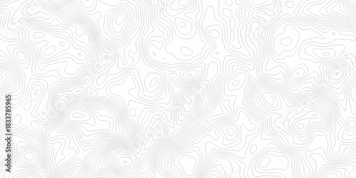 Abstract minimal spiral pattern vector topo map creative discovery. White wave grid stripe line map topography. vector geographic contour mounted map background.	