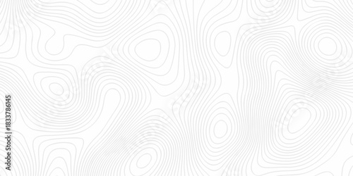 Abstract minimal pattern discovery vector topo map creative discovery White wave grid stripe line map topography. vector geographic contour mounted map background.	