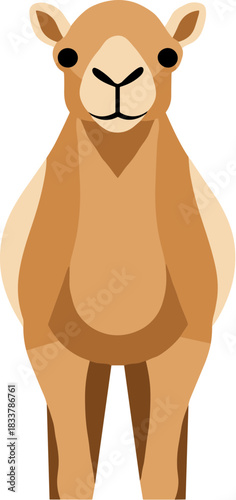 Stylized cartoon camel standing in a frontal view illustration.