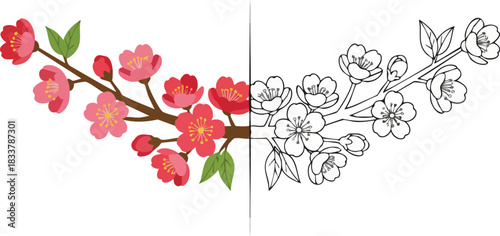 Colorful Spring Blossoms with Line Art