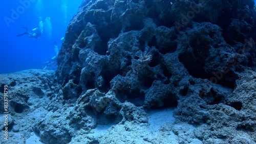 Group of scuba divers exploring underwater landscape, swimming lionfish. Marine life and rocks, deep seascape. Scuba diving trip, tourists and wildlife in the sea. Lionfish in the water.
