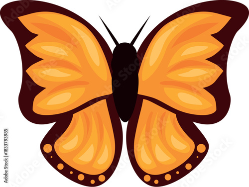 Beautiful orange butterfly with decorative wings and dark body isolated on white background