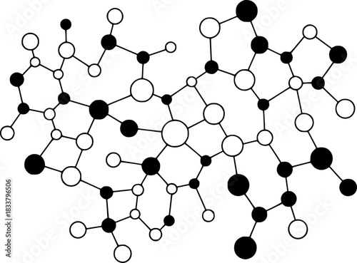 Abstract Network of Black and White Circles Connected by Lines