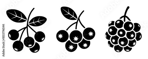 Black and White Icons of Berries on Branches and Bunch