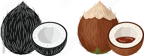 Illustration of whole and halved coconuts in brown and black tones