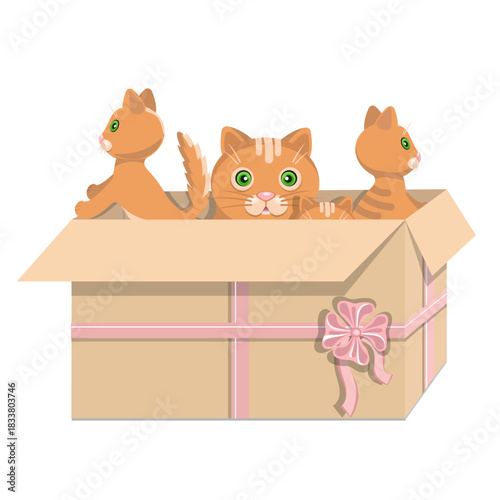 cat and gift box