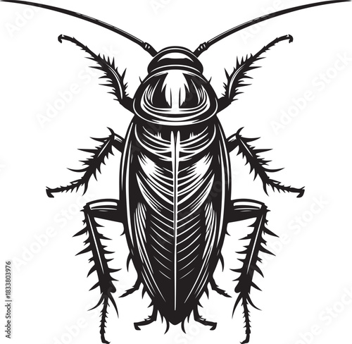 engraving vintage bug