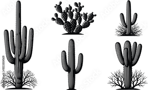Set of five different black cactus silhouettes, including saguaro and prickly pear species with desert shrubs, representing Mexican, Arizona, and arid landscape plants vector