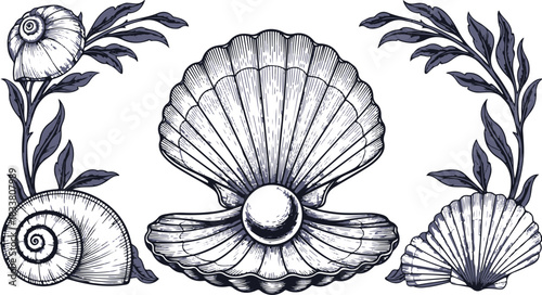 Ornate Seashell and Pearl Decorative Border Blue Tones