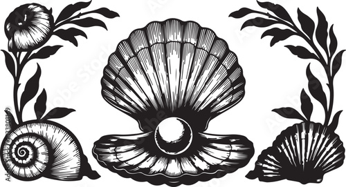 Seashells and foliage decorative border design pearl