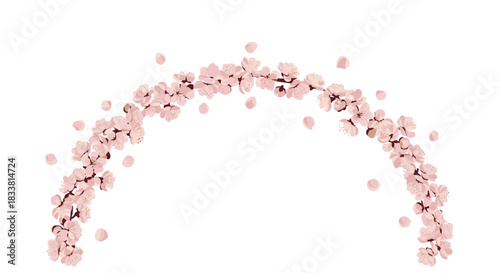 An elegant and delicate arch made of soft pink cherry blossoms with gently falling petals, isolated on a white background.
