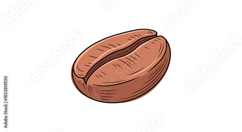 A detailed, hand-drawn vintage style illustration of a single roasted coffee bean, perfect for cafes and coffee-related branding.