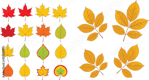 Mega Bundle of Flat Style Vector Autumn Nature and Harvest Elements Featuring Maple, Chestnut, and Rowan Leaves, Along with Apples, Pine Cones, Acorns, Berries, and a Hot Coffee Drink