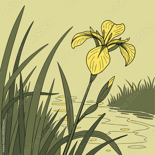 bamboo leaves on the sunset background