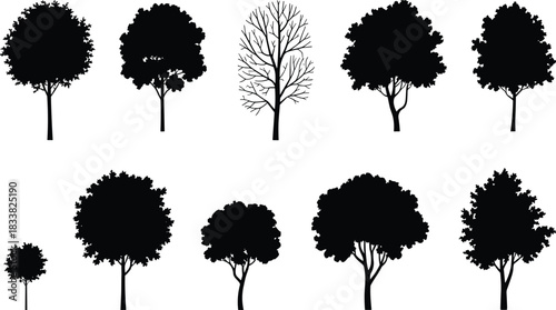 Set of ten diverse black tree silhouettes, featuring lush foliage and one bare winter tree, representing nature, environment, ecology, forest, woodland, and landscaping elements for design projects.