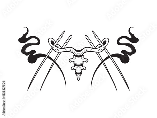 hand drawn coccyx bones illustrations 