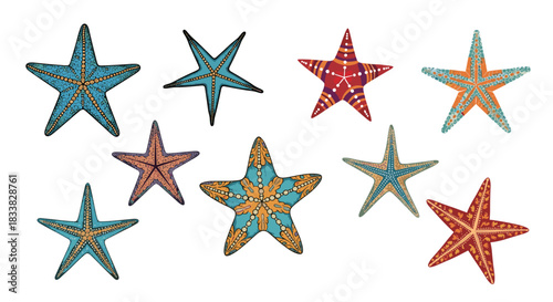 A collection of colorful and decorative starfish illustrations with diverse patterns, showcasing the beauty of marine life against a clean white background.