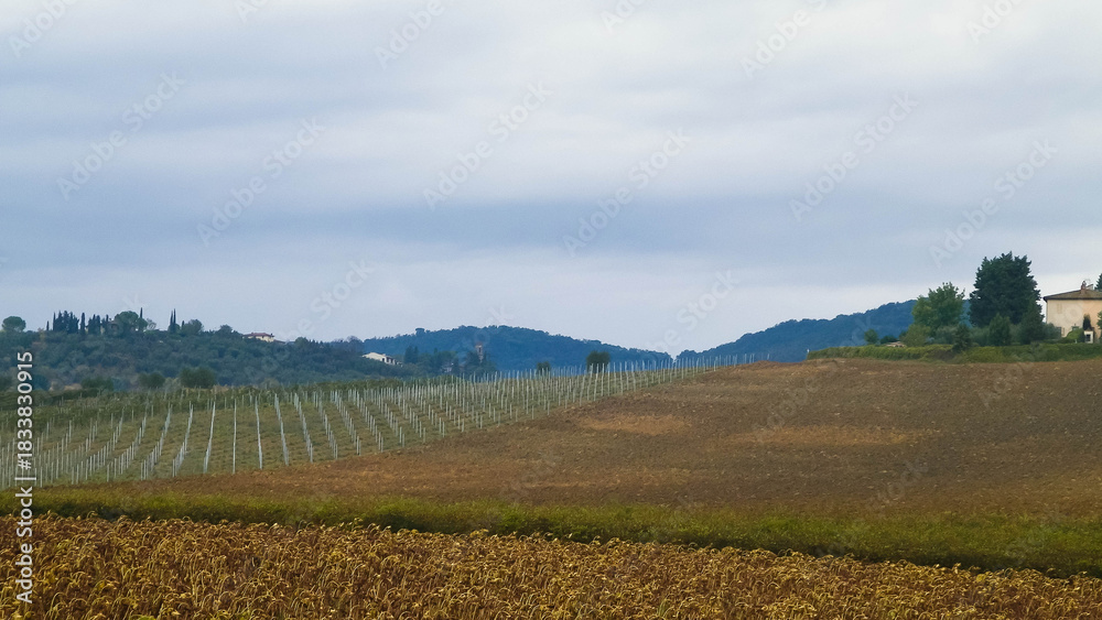 Fototapeta premium Autumn season. October in Tuscany.