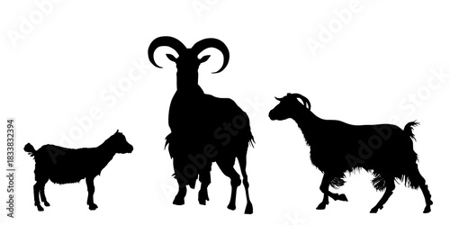 Goat family, couple and baby vector silhouette illustration isolated. Goat, goatling, Billy goat. Male, female domestic farm animal shape shadow. Organic food village symbol. Meat, cheese and milk.