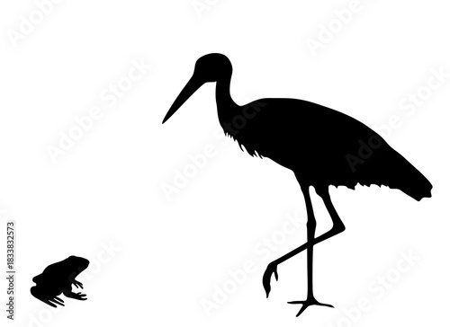 Hunting stork chasing and eating frog vector silhouette illustration isolated on white background. Visitant migration bird stork targeting frog in hunt for prey. Food chain eco system.