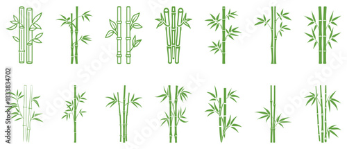 Bamboo leaves icon over white background, silhouette style, vector illustration