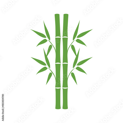 Bamboo leaves icon over white background, silhouette style, vector illustration