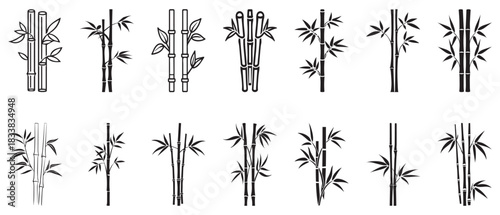 Bamboo leaves icon over white background, silhouette style, vector illustration