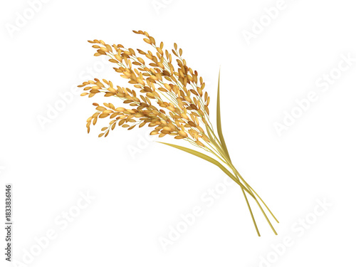Hand drawn rice grain and plant vector illustration with realistic 3d detail, organic farm crop design perfect for agriculture, nutrition, food, diet, wellness and healthy eating concepts