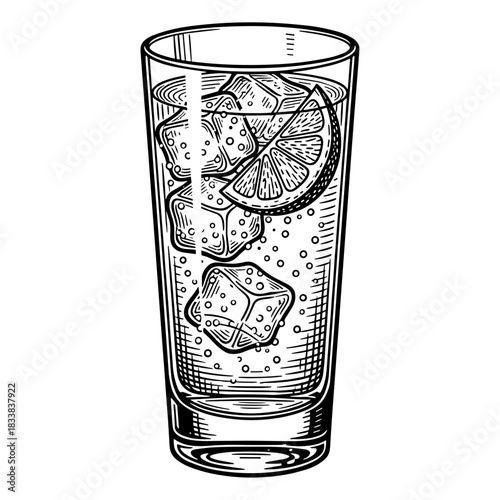 Gin and tonic cocktail, fizzy drink with lemon slice and ice in tall glass