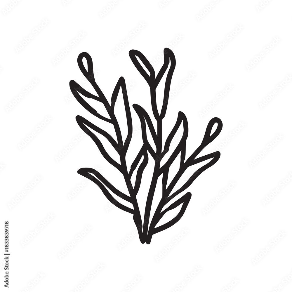 Fototapeta premium Coral wavy branches Black outline illustration resemble marine vegetation white background.
