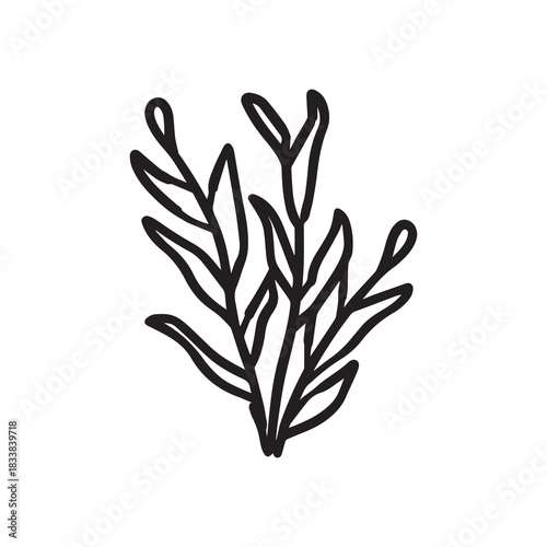 Coral wavy branches Black outline illustration resemble marine vegetation white background.