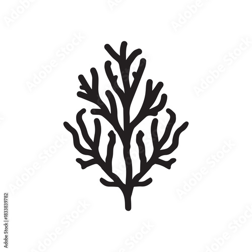 Coral wavy branches Black outline illustration resemble marine vegetation white background.