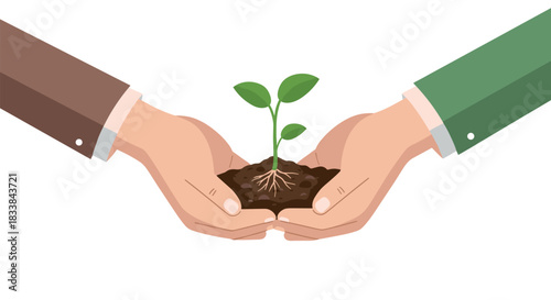 Hands gently holding seedling with soil on white background
