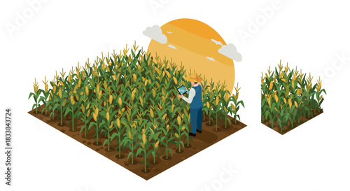 Farmer analyzing corn field with digital tablet in isometric 3d design during sunset