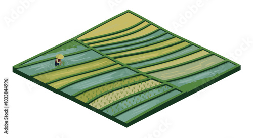 Isometric rice paddy scene with farmer in traditional hat