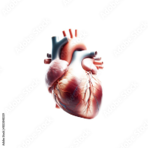 Realistic human heart illustration in halftone dot style, isolated on white background, medical anatomy concept.