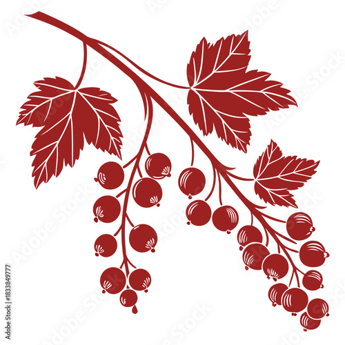 redcurrant on white background 