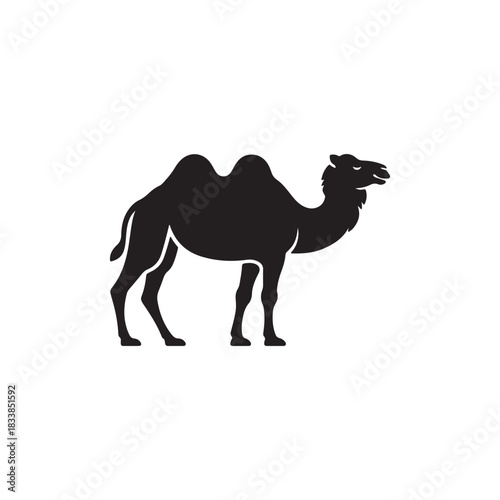 Black Silhouette of a Camel with Two Humps Standing on a White Background, Ideal for Wildlife or Desert Themed Designs