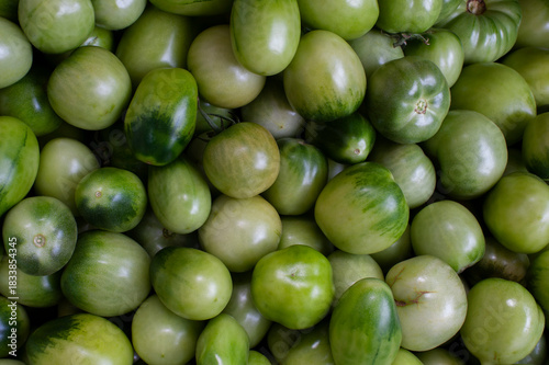Wallpaper Mural Freshly picked green tomatoes scattered in an even row Torontodigital.ca