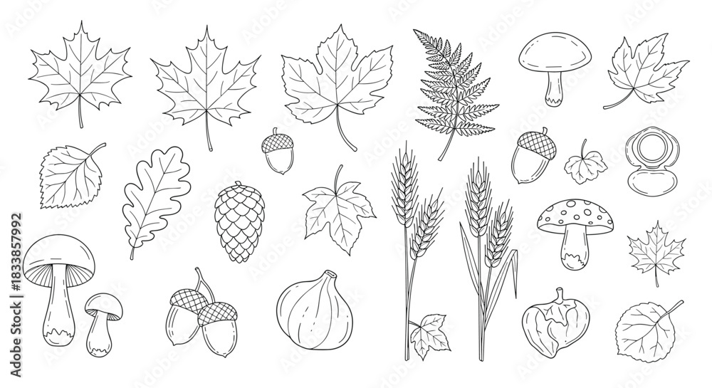 Fototapeta premium A large and diverse collection of various autumn elements in a charming hand-drawn sketch style for seasonal projects.