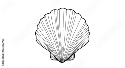 A simple and elegant black and white line drawing of a classic scallop seashell isolated on a clean white background.