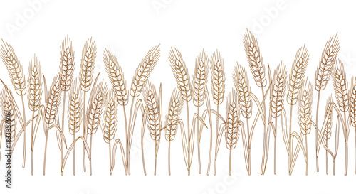 A seamless horizontal border depicting a field of wheat in a simple and elegant golden-brown line art style illustration.