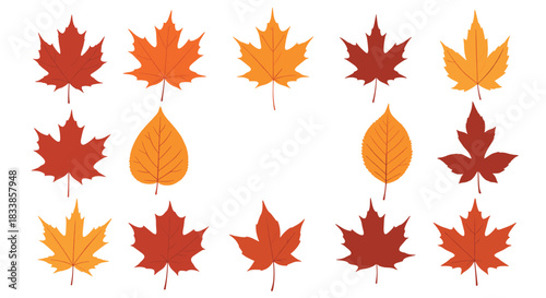 A lovely collection of various autumn leaves in warm colors arranged to form a rectangular frame with a blank center space.