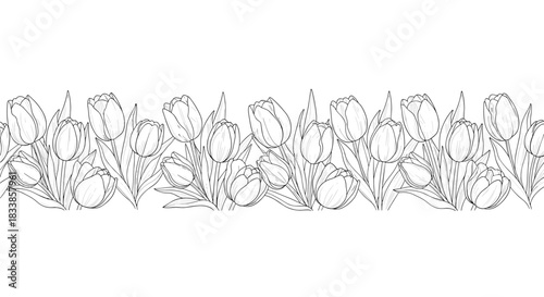 A lovely seamless horizontal border of blooming tulip flowers in a delicate black and white line art or sketch style.