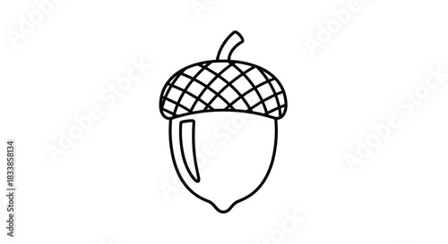 A simple black outline of an acorn with a crosshatched cap suitable for coloring pages or autumn-themed graphic design.