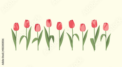 An elegant illustration of a row of red tulips with green stems and leaves set against a soft cream-colored background.