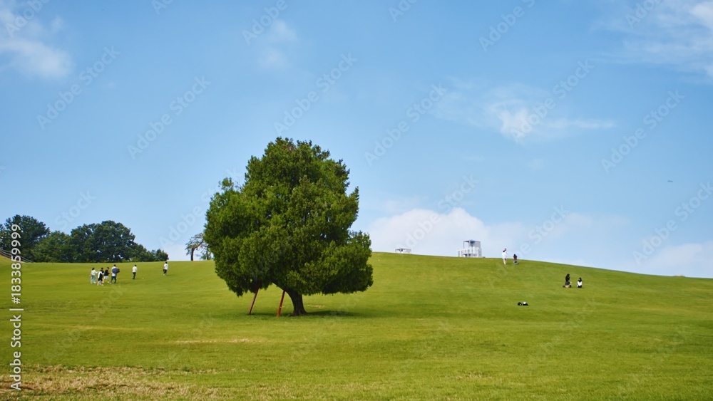 Fototapeta premium Young People Enjoying Leisure and Walking on a Green Hill in an Urban Park